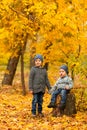 Children in yellow and gold autumn forest. Two little brothers on a wooden stump in fall park. Family walk outdoor. Friendly Royalty Free Stock Photo