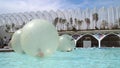 Children zorbing in water. High quality