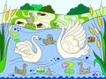 Childrens color book cartoon family of Swan on nature. Royalty Free Stock Photo