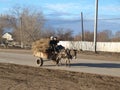 Childrens at donkey in Koneurgench, Turkmenistan