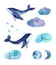 Childrens dreamy watercolor illustrations. Whales with stars and constellations of delicate colors.