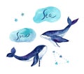 Childrens dreamy watercolor illustrations. Whales with stars and constellations of delicate colors.