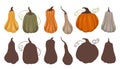 Childrens educational fun. Find right black silhouette for pumpkins. Vector template for autumn preschool games. Find the correct