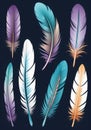 Childrens Illustration Of Set Collection Of Feathers Isolated On A Background For Design And Overlay. Generative AI