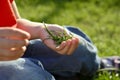 Childrens palm with green grass.