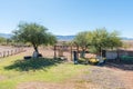 Childrens playground at the caravan park at Steenbokkie Nature Reserve Royalty Free Stock Photo