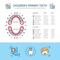 Childrens Primary Teeth, Schedule of Baby Teeth Eruption. Childrens dentistry infographics