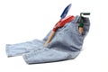 Childrens toy garden tools and a blue jeans Royalty Free Stock Photo