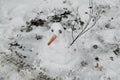 Childrens work on the roadside. - A nice snowman with a big carrot for his nose