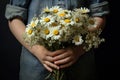 a childs hand holding a bouquet of freshly picked chamomiles