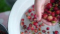 Childs hand washs small strawberries in bowl. Puts net berries in a colander