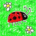 Childs ladybug Royalty Free Stock Photo