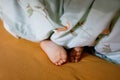 Childs legs are covered with white bed linen. The warmth of home comfort. Feet of little small girl. Royalty Free Stock Photo