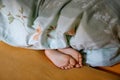 Childs legs are covered with white bed linen. The warmth of home comfort. Feet of little small girl. Royalty Free Stock Photo