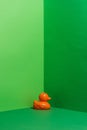 Childs orange rubber duck toy