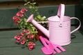 Childs pink watering can and tools Royalty Free Stock Photo