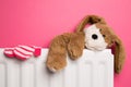 Childs teddy bear and mittens on a bedroom radiato