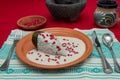 Chile en Nogada is a traditional mexican dish. Royalty Free Stock Photo