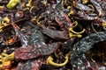 Chile guajillo background Royalty Free Stock Photo