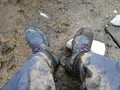 Chile Patagonia National Park Dirty Boots After Boot Camp Trekking 10 hours Morning Hike Chilean Nature Muddy Soil Mother Earth