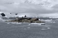 Chilean Antarctic Research base Gonzalez Videla. Situated on the Antarctic Peninsula at Paradise Bay, Antarctica