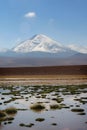 Chilean Atacama Desert Royalty Free Stock Photo