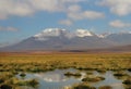 Chilean Atacama Desert Royalty Free Stock Photo