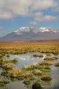 Chilean Atacama Desert Royalty Free Stock Photo