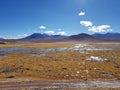 Chilean Atacama Desert. Royalty Free Stock Photo