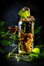 Chilean brandy aguardiente with whole bunch of grapes inside bottle Royalty Free Stock Photo