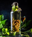 Chilean brandy aguardiente with whole bunch of grapes inside bottle Royalty Free Stock Photo