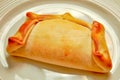 Chilean Empanada