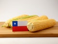 Chilean flag on a wooden panel with corn isolated on a white bac Royalty Free Stock Photo