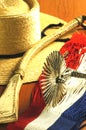 chilean gaucho of huaso apurs close up symbol Royalty Free Stock Photo