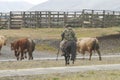 Chilean Gauchos in patagonia Royalty Free Stock Photo