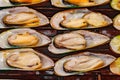 Chilean green mussels are fried in open casings, selective focus