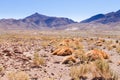 Chilean mountains landscape,Chile