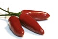 Chili Royalty Free Stock Photo