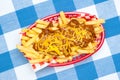 Chili cheese fries Royalty Free Stock Photo