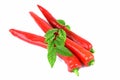 Chili, Chili Pepper, Red Chillies on white background. Royalty Free Stock Photo