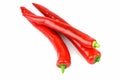 Chili, Chili Pepper, Red Chillies on white background. Royalty Free Stock Photo