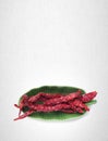 Chili or dry red pepper on a background.