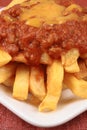 Chili fries plate Royalty Free Stock Photo