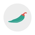 Chili glyph flat vector icon