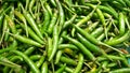 Chili Green Jinda for sale in department stores