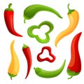 Chili icons set, cartoon style