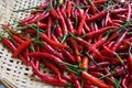 Chili ingredients preparation hot spicy oriental fresh concept