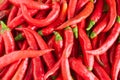 Chili pepper Royalty Free Stock Photo