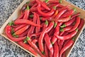Chili pepper Royalty Free Stock Photo