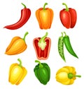 Chili Pepper and Bell Pepper Colorful Vegetable Ingredient for Culinary Vector Set